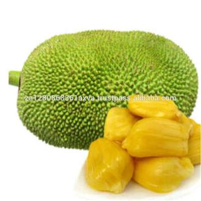 Quality Fresh / Frozen Jackfruit for sale 30% off